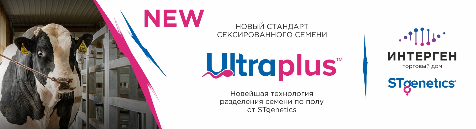 UltraPlus
