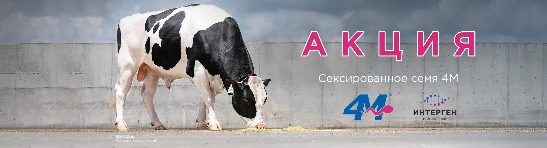 Акция